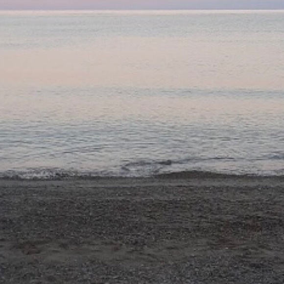 Meet your Posher, Taylor - Picture 1 of 1